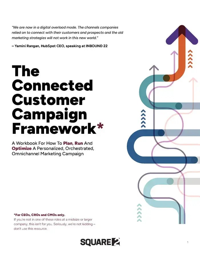 S2M---The-Connected-Customer-Campaign-Framework,-v